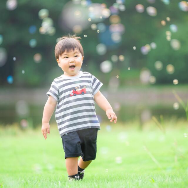 .

カシュカシュには2歳さん限定のプランがあります🧸

大変な毎日で写真を撮ることも減る頃かと思います。
自己主張が強くなる、所謂イヤイヤ期に入ると特に、、、

思い通りに行かない毎日に、パパママもお手上げ、、、、

でも、泣いてるところも、ママの足にしがみついて離れられない姿も、
その時の特別な瞬間だと気づけるのって、何年も後のことなんですよね。

目に焼き付けておくのも大切だけど、
その時間を残すことができるのが、写真です。

「残しておけばよかった」

そう思わないよう、カシュカシュの2歳プランはアルバムもついてます。
形に残すって素敵です。
あの時こんなに泣いてたんだよ！って、いつか笑って話せるように。

photo よねちゃん

▽▽▽▽▽

問い合わせ、ご予約方法、公式LINEはハイライトから⭐️
詳細はプロフィールからHPをご覧ください♪
@cachecache_tsukuba 

▽▽▽▽▽

◉カシュカシュ（ハイカラスタヂオ）
◉所在地：〒305-0051
茨城県つくば市二の宮2丁目17-10
パークサイド洞峰1階A号室
◉☎️029-850-3890
◉営業時間：11:00〜18:30
◉定休日：火曜

青い扉が目印です♪

△△△△

#カシュカシュ#つくば#写真スタジオ#アニバーサリー